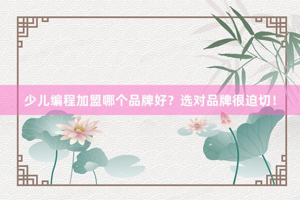 少儿编程加盟哪个品牌好？选对品牌很迫切！