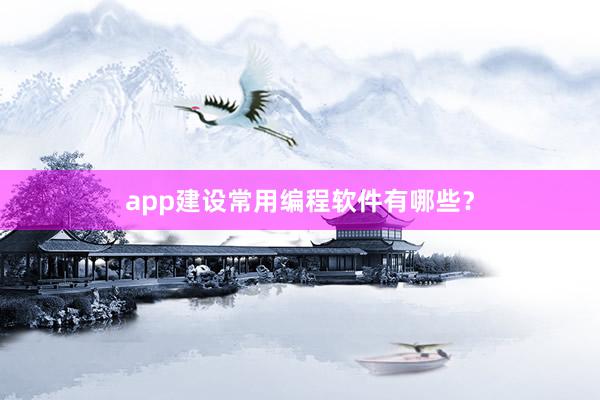 app建设常用编程软件有哪些？