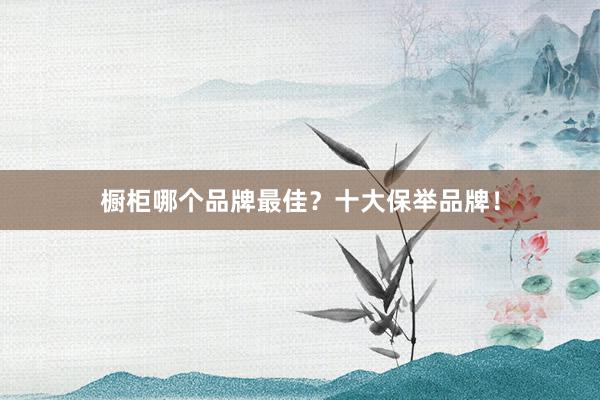 橱柜哪个品牌最佳？十大保举品牌！