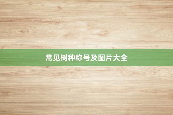 常见树种称号及图片大全
