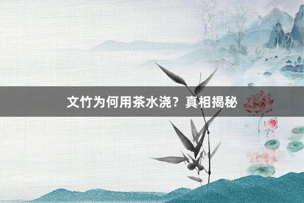 文竹为何用茶水浇？真相揭秘